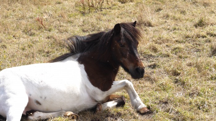 Photo de profil de lenore