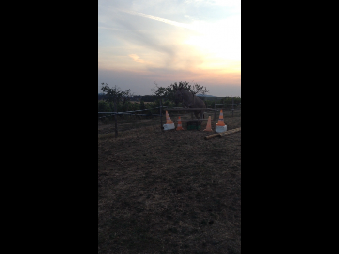 Photo de profil de leonie.bouricot