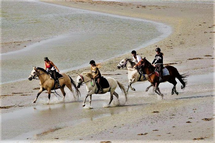 Photo de profil de letyharas