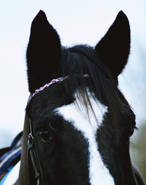 Photo de profil de l.grh