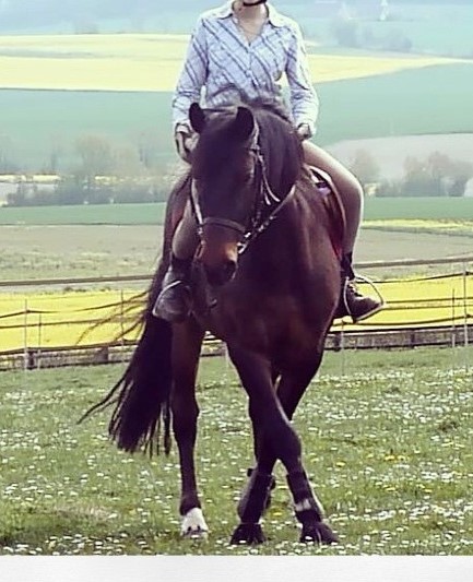 Photo de profil de licoristo4