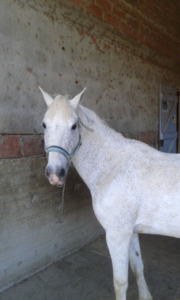 Photo de profil de lilijiquelle30