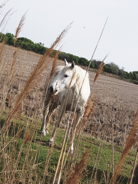 Photo de profil de lilikut