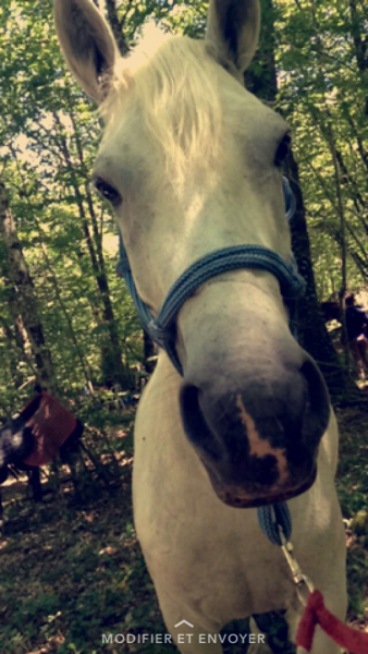 Photo de profil de lilmaneno