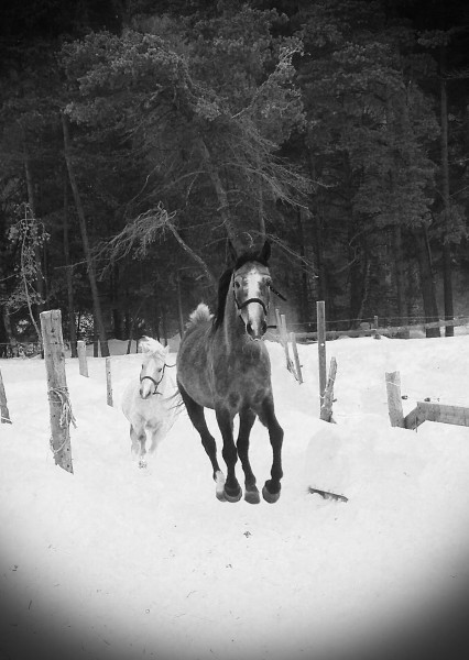 Photo de profil de lilou1993