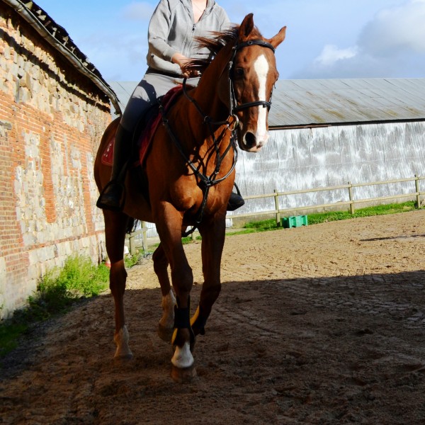 Photo de profil de lisalbt