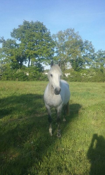 Photo de profil de lise85