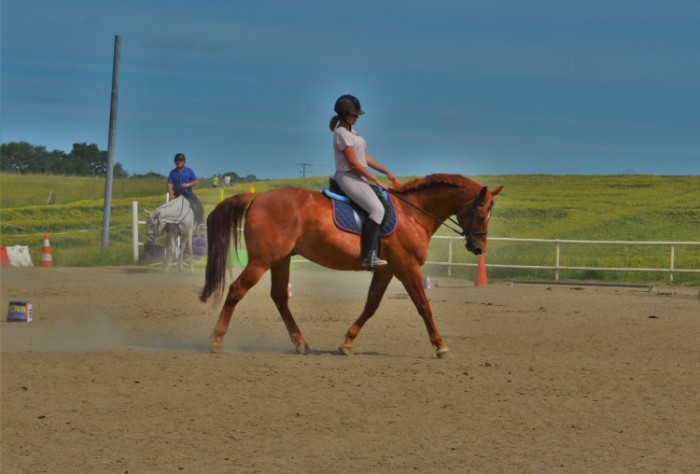 Photo de profil de lizav