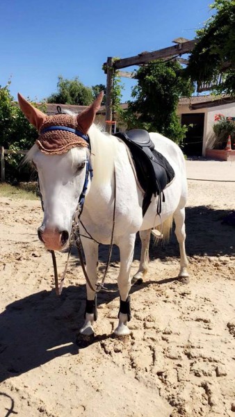 Photo de profil de l.jasmin