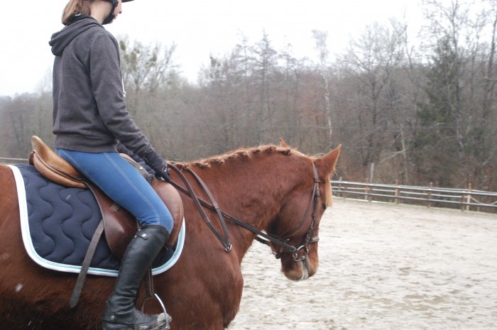 Photo de profil de lmnt