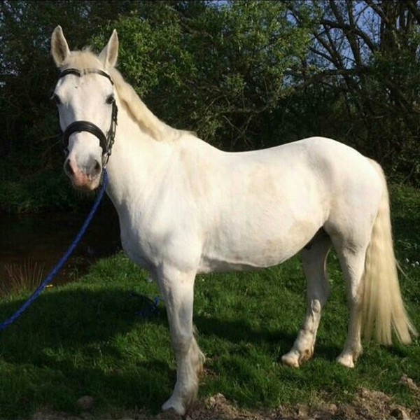 Photo de profil de loise04
