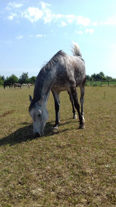 Photo de profil de loola68850