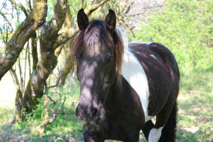 Photo de profil de lostier