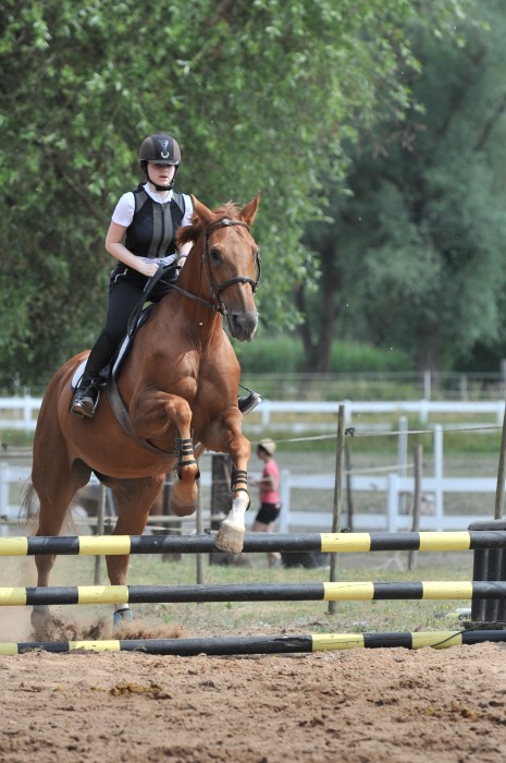 Photo de profil de lou_equit