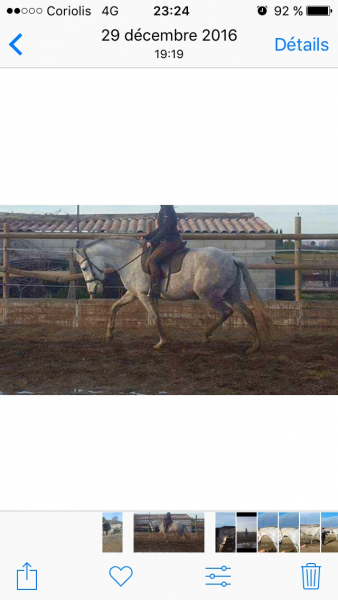 Photo de profil de louison34
