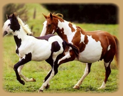 Photo de profil de loulou23012017