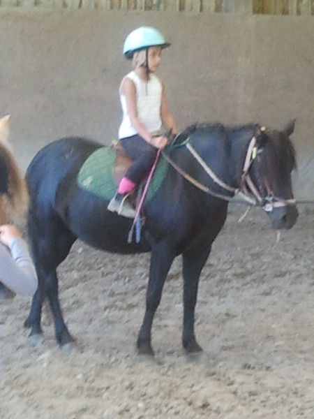 Photo de profil de loulou76equi