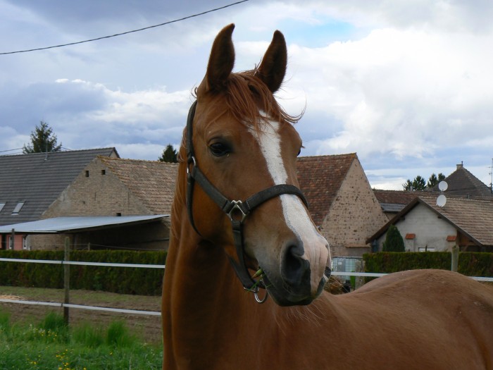 Photo de profil de louloute70