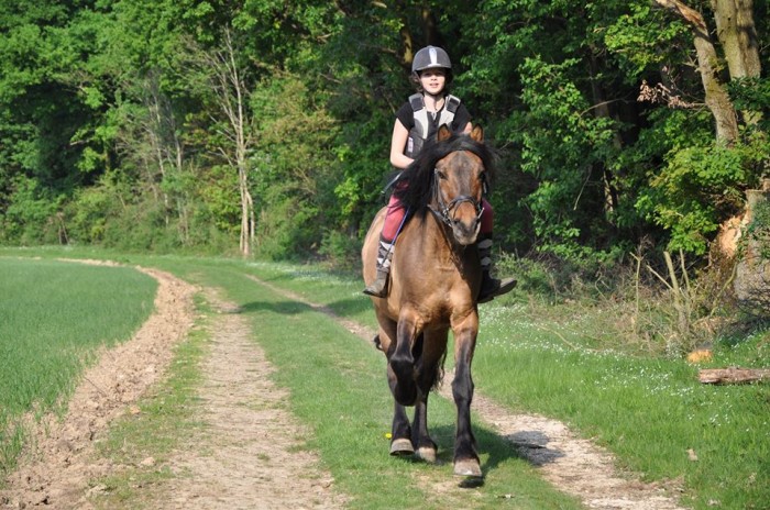 Photo de profil de loveninja2