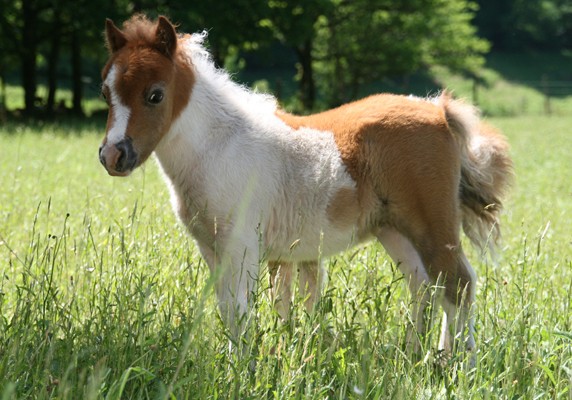 Photo de profil de lucas09