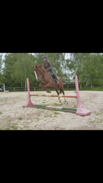 Photo de profil de lucie011017