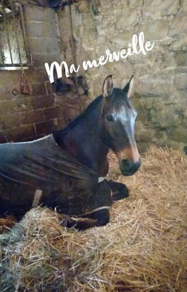 Photo de profil de lucie_3211