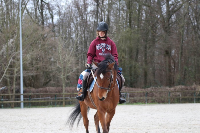 Photo de profil de lucieee.blt