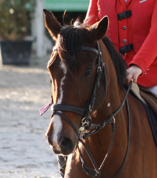 Photo de profil de lucile49