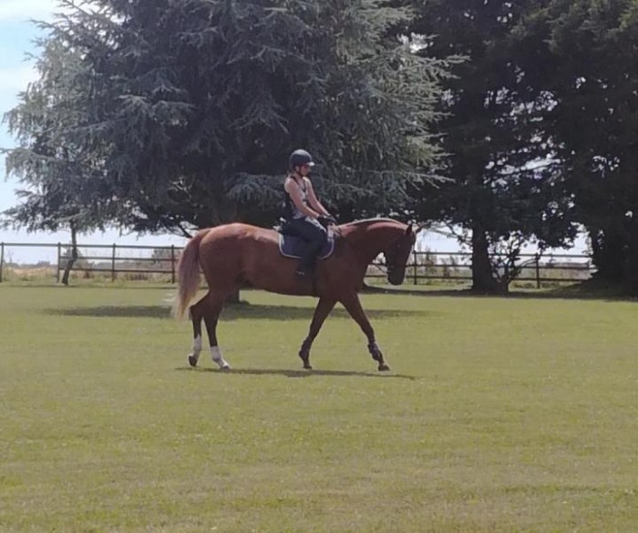 Photo de profil de lucychpn