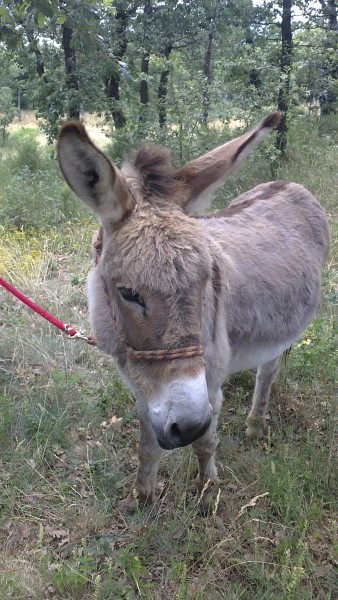 Photo de profil de lulu10