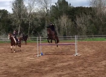 Photo de profil de luludesbois08