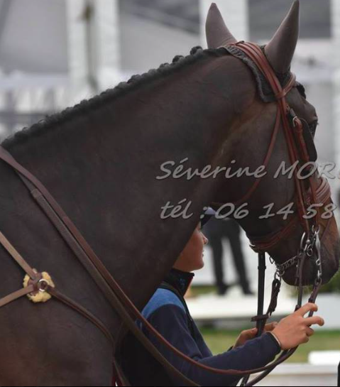 Photo de profil de lulusanime