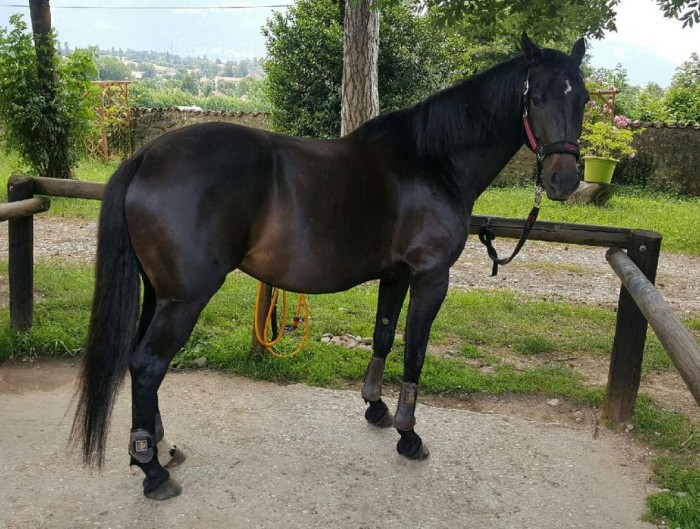 Photo de profil de lunalady