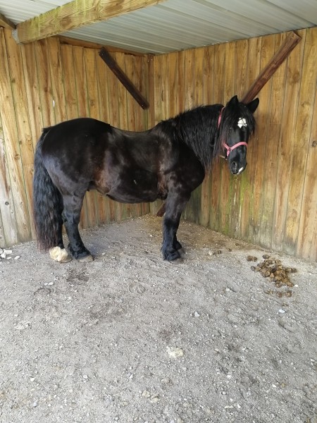 Photo de profil de lysendra