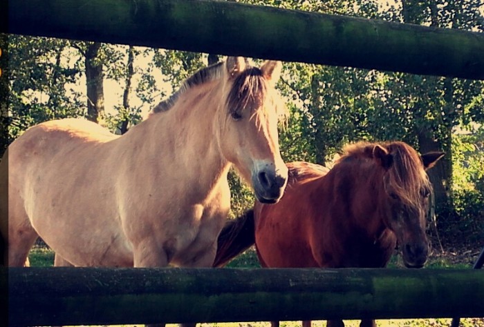 Photo de profil de m.56390