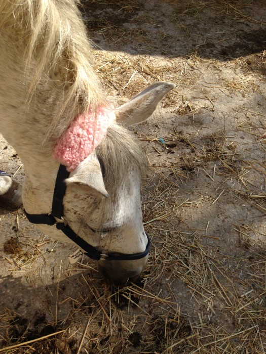 Photo de profil de mablack38