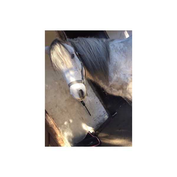 Photo de profil de maelysacq
