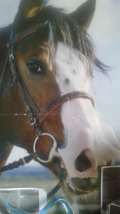 Photo de profil de maeva001