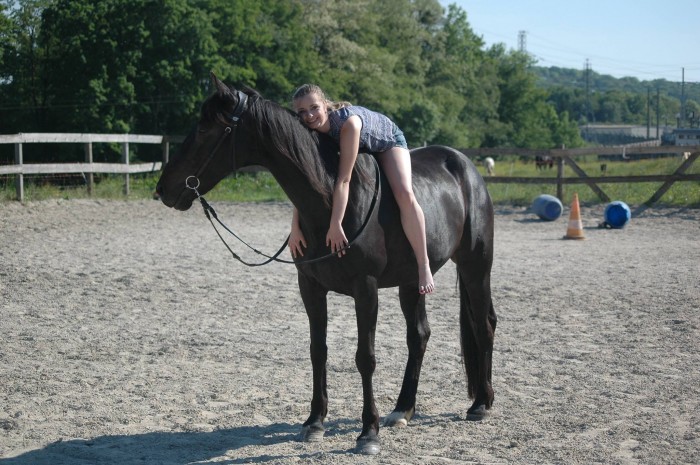 Photo de profil de magic_horse