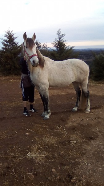 Photo de profil de mahdi