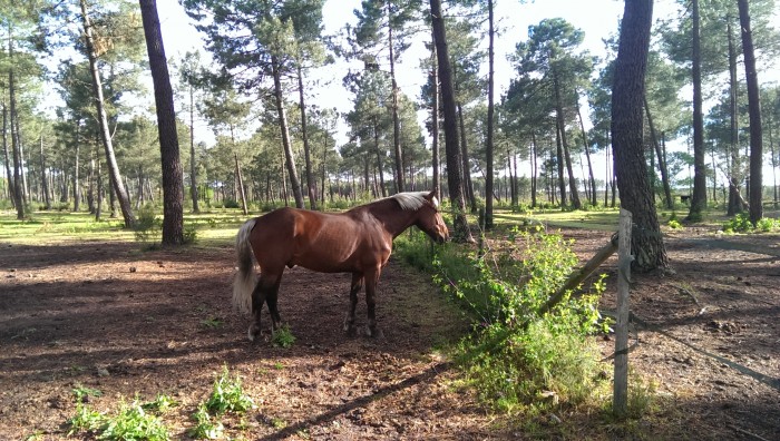 Photo de profil de maikoki