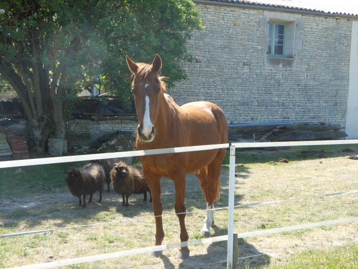 Photo de profil de mainguec
