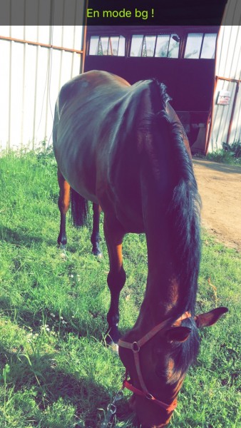 Photo de profil de malau31