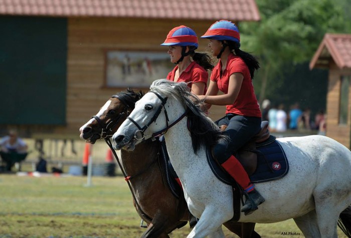 Photo de profil de malzan_le_poney