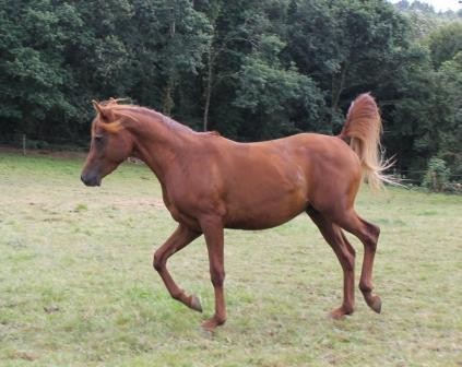 Photo de profil de mama1234