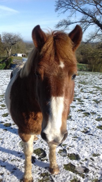 Photo de profil de manon_1861