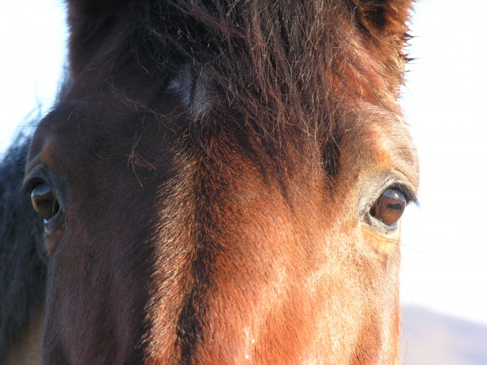 Photo de profil de manou49