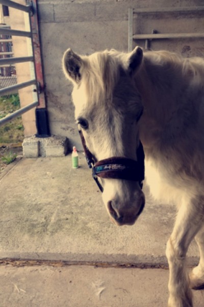 Photo de profil de margauxcrl