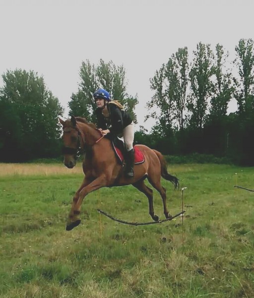 Photo de profil de margotineuh