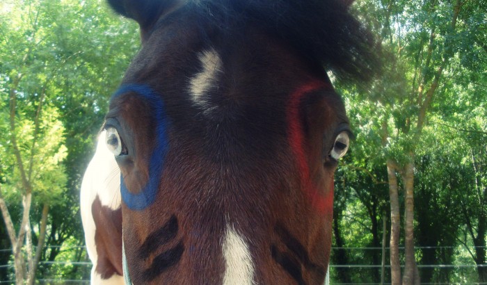 Photo de profil de mariechvlr